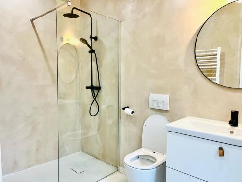 a bathroom with a shower and a toilet and a mirror at La Baraque Calais Blériot 2 in Sangatte