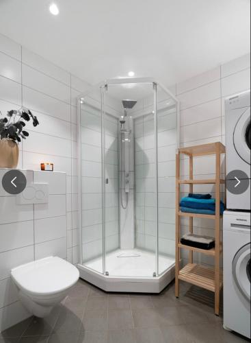 y baño con ducha, aseo y lavamanos. en 1 roms leilighet sentralt, en Tromsø