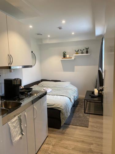 una camera con letto e una cucina con lavandino di 1 roms leilighet sentralt a Tromsø
