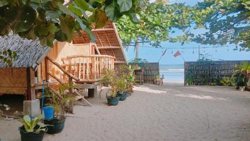 a beach with chairs and potted plants on the sand at Balai Ko Beach & Cottages in El Nido