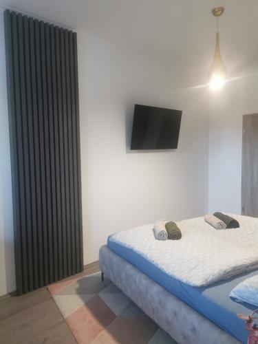 a bedroom with a bed and a flat screen tv at Beli Apartman Mélygarázzsal in Hévíz