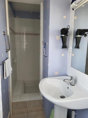 een badkamer met een wastafel en een douche bij Résidence Rose des Vents in Jullouville-les-Pins