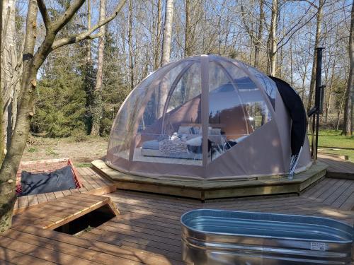 ein Kuppelzelt auf einer Holzterrasse im Wald in der Unterkunft OUT & LODGE, Wigwam in Couvin