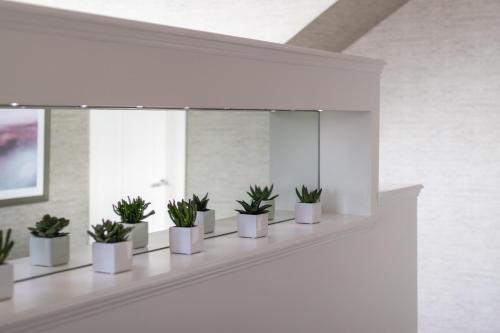 a row of potted plants on a shelf in a room at Fern View in Inverness