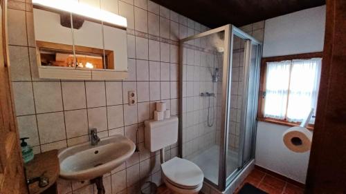a bathroom with a sink and a toilet and a shower at Ferienhütte Panoramablick 