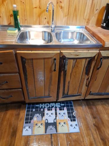 eine Küche mit Spüle mit Katzen auf dem Boden in der Unterkunft Compu alto in Quellón
