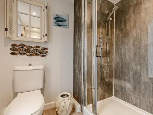 a bathroom with a toilet and a shower at 3 bed property in Brixham BX017 in Brixham