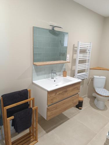 une salle de bain avec un lavabo et des toilettes dans l'établissement LES JARDINS D'ORANGE, à Orange