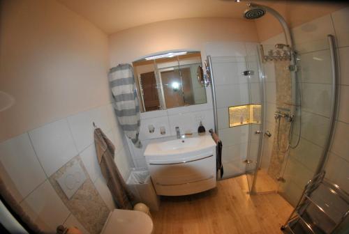 y baño con lavabo y ducha. en Tannenburg 208 - App Strandoase, en Grömitz