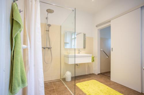 ein Bad mit einer Dusche und einem Waschbecken in der Unterkunft Hübsches Privatzimmer mit Bad in Perchtoldsdorf