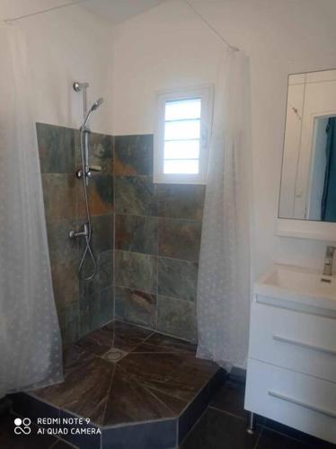 ein Bad mit einer Dusche und einem Waschbecken in der Unterkunft loue bungalow climatisé proche lagon in Saint-Leu