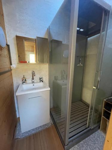 a bathroom with a sink and a shower at Les Cachettes du Hérisson - Le Hérissonneau in Le Frasnois