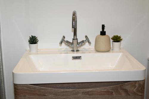 a white sink with two plants on top of it at Modern home in Birmingham in Birmingham