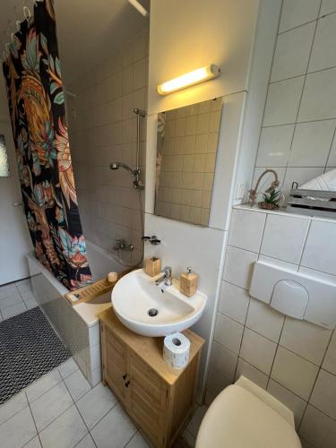 a bathroom with a sink and a toilet and a mirror at Unterkunft für bis zu 5 Personen in Spremberg in Spremberg