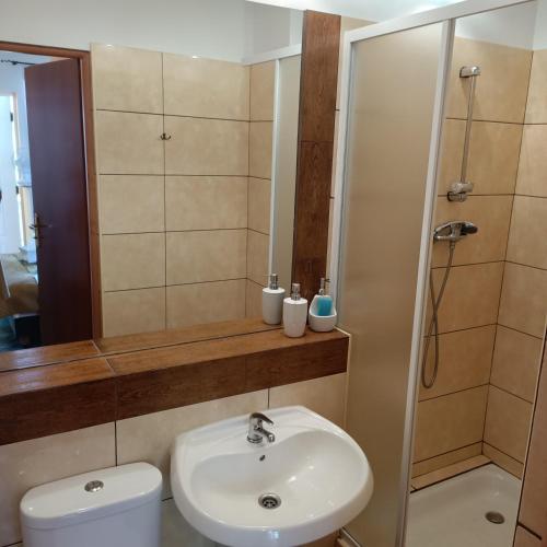 Koupelna v ubytování Vanilla Pokoje i Apartamenty Nad Brzegiem Jeziora