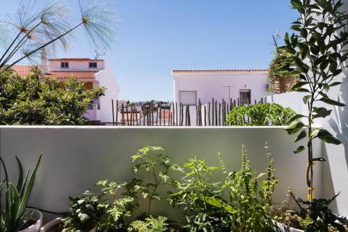 a garden with plants and a white fence at Altanure Almatere - Food Forest Boutique Stay in Tavira