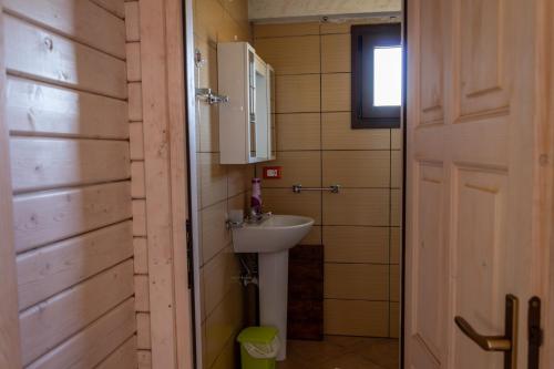 baño con lavabo, espejo y puerta en Agriturismo Pinelli, en Plataci