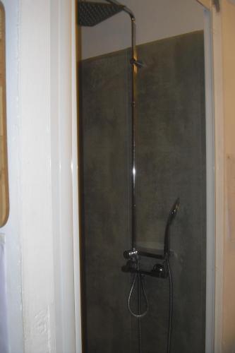 a shower stall with a shower head in a bathroom at L'olivade Lou mas li pitchoun in Gordes