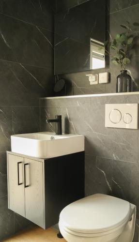 a bathroom with a sink and a toilet at Wad & Loft unieke paalwoning vlakbij de Waddenzee in Pietersbierum