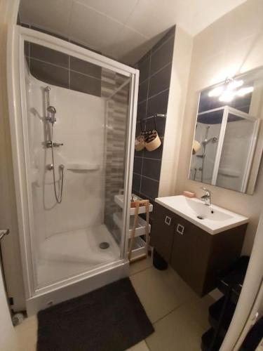une salle de bain avec douche et lavabo dans l'établissement A 50 m de la plage centrale, à Soorts-Hossegor