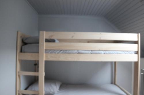 a bunk bed in a small room with a ladder at La Cidrerie du port in Landévennec