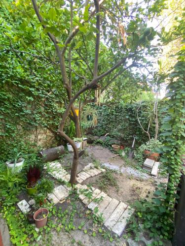 a small tree in a garden next to a hedge at Chenille House HOSTAL con garaje y jardín in Munro