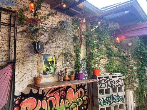 Chenille House HOSTAL con jardín y AC في Munro: جدار حجري عليه نباتات مع رف