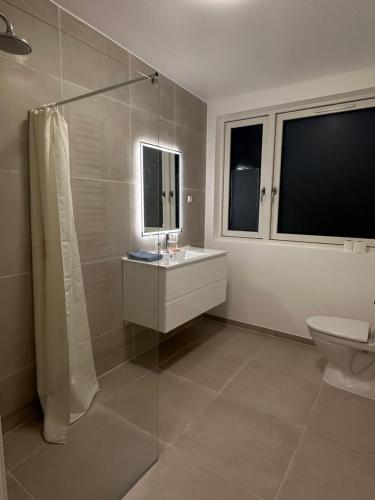 a bathroom with a shower and a sink and a toilet at Lyngby NO SMOKING Apt in Kongens Lyngby