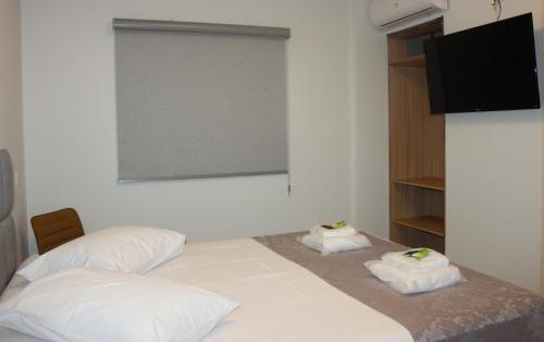 a bedroom with two beds and a flat screen tv at Optimum Plaza Hotel in Monte Alto
