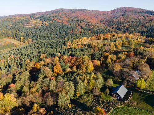 an autumn view of a forest with a barn at WsiaMać in Odrzykoń
