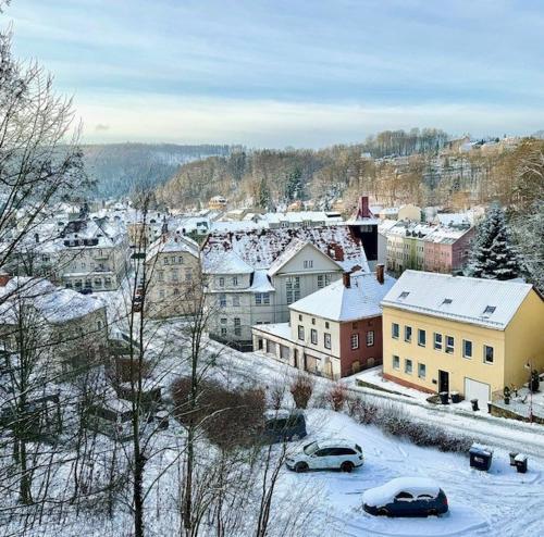 uma cidade coberta de neve com carros estacionados em Brauhaus Suite 19 em Sebnitz