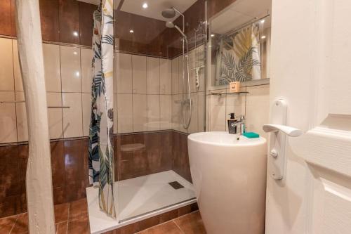 a bathroom with a shower and a toilet and a sink at Le Troglogite Mignon - Maison et Jardin in Amboise