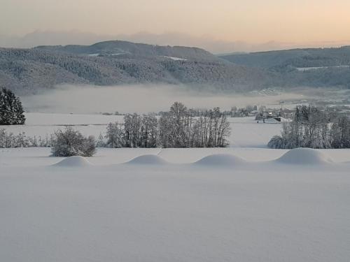 un champ recouvert de neige avec des arbres et des montagnes dans l'établissement Hochsalerblick, à Laufenburg