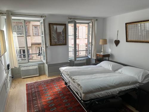 a bedroom with a bed and two windows at Carré or au pied de la Cathédrale in Strasbourg