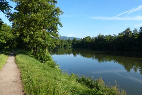a path next to a river with trees at Hotel Garni Sebastian in Kirrweiler