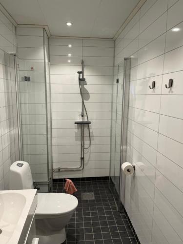 e bagno con doccia, servizi igienici e lavandino. di Edeforsvägen 68 a Harads