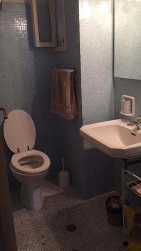 a bathroom with a toilet and a sink at Single room in Santo spirito olttrarno in Florence