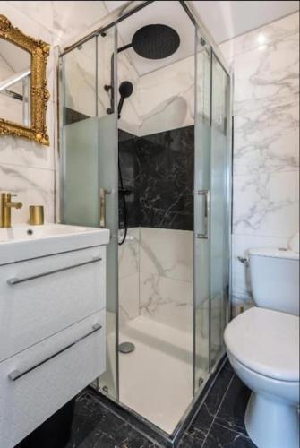 a bathroom with a shower and a toilet and a sink at Appartement Cosy Amiens in Amiens