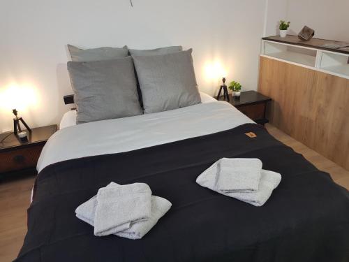 a bedroom with a large bed with two towels on it at Le Chat d'Or - 35m2 - Terrasse - BBQ - WIFI HD in Amiens