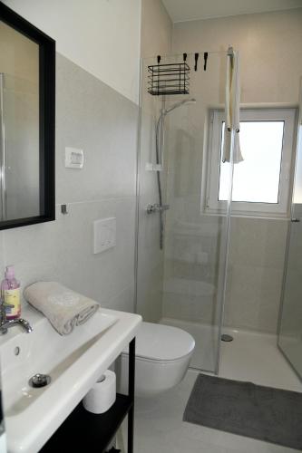 a bathroom with a shower and a toilet and a sink at Apartments Ajda in Bohinj