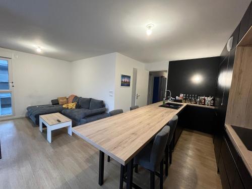 Spacious apartment with big terrace - close to Paris