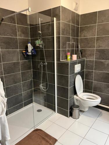 une salle de bain avec une douche avec des toilettes et un lavabo dans l'établissement Spacious apartment with big terrace - close to Paris, à Villeneuve-la-Garenne