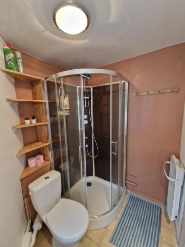 a bathroom with a shower and a toilet and a sink at Joli appartement rénové (Hirondelle) in Cornimont