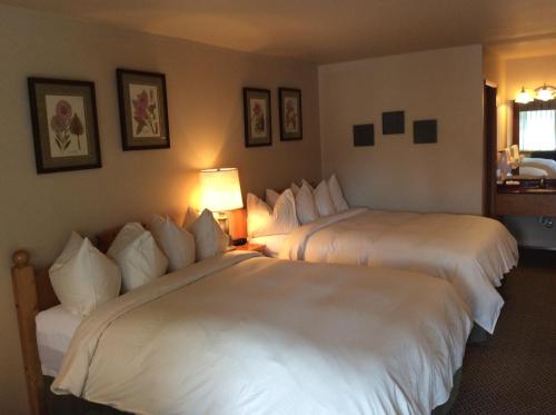Postel nebo postele na pokoji v ubytování Linderhof Inn