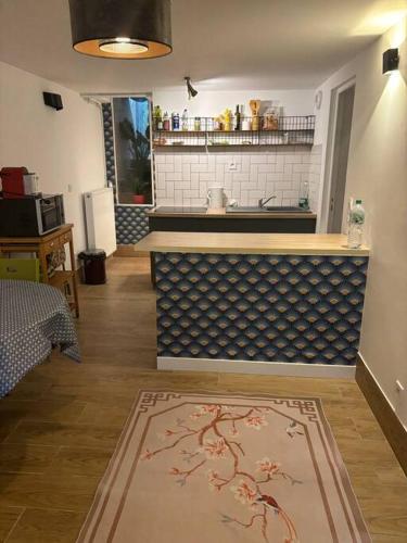 - une cuisine avec évier et comptoir dans la chambre dans l'établissement Apartment Near Paris and Disneyland, à Rosny-sous-Bois