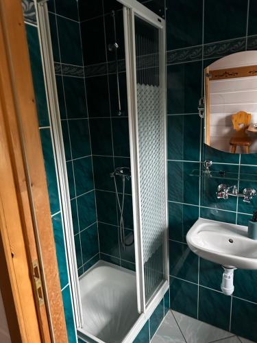 a bathroom with a shower and a sink at Willa Gronik in Zakopane