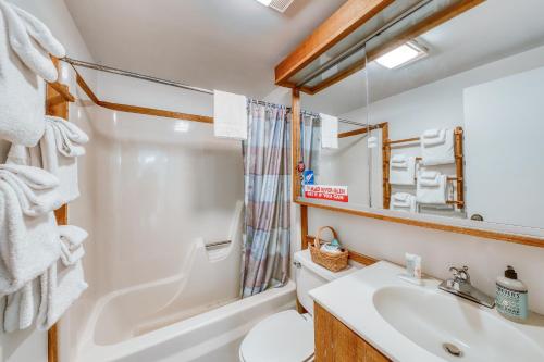 Ένα μπάνιο στο Cozy Mountainside Condo