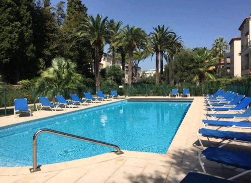 - une piscine avec des chaises bleues et des palmiers dans l'établissement T4 3chambres, jardin, piscine chauffée proche de la mer, à Antibes