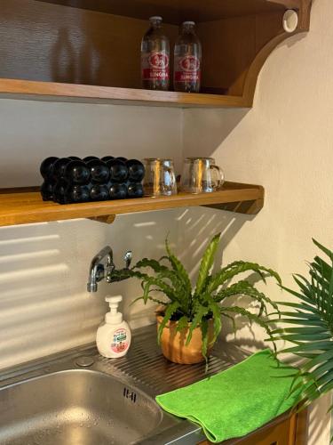 a kitchen sink with a potted plant on top of it at Sandra’s sweet home in Chiang Mai