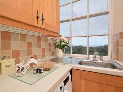 cocina con fregadero y ventana en 2 Bed in St Austell TVISS, en Pentewan